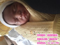 大龄代妈借助试管婴儿成功怀孕产子