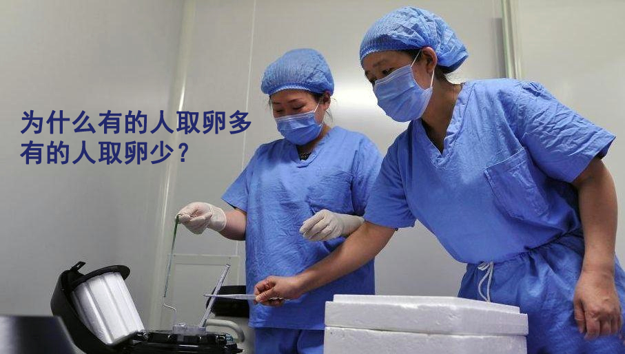 为什么有的人取卵多,有的人却很少?