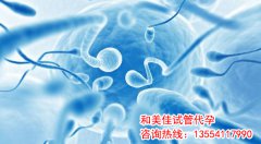 取的卵子多成功率就高吗